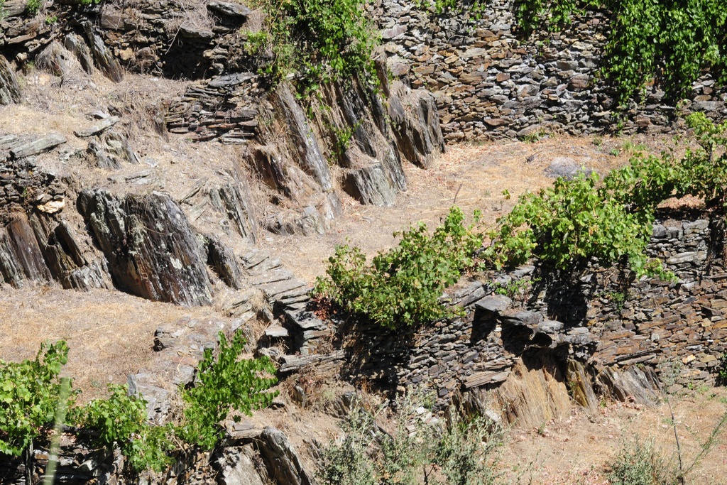 PR 6 PPS - Porto de Vacas Schist Walking Trail - A magical stretch of the Zêzere Grand Route