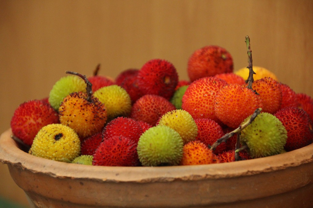 Mostra dos Frutos de Outono - Medronho e Castanha