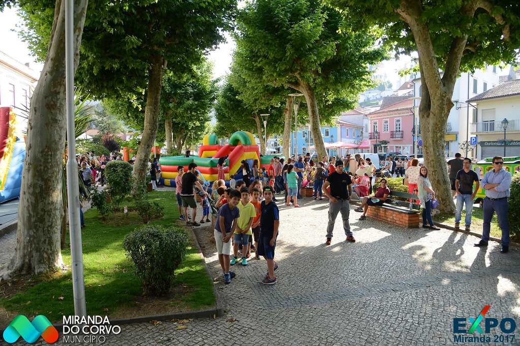 Férias Divertidas em Miranda do Corvo