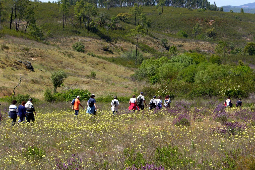 Walking along the Schist Paths