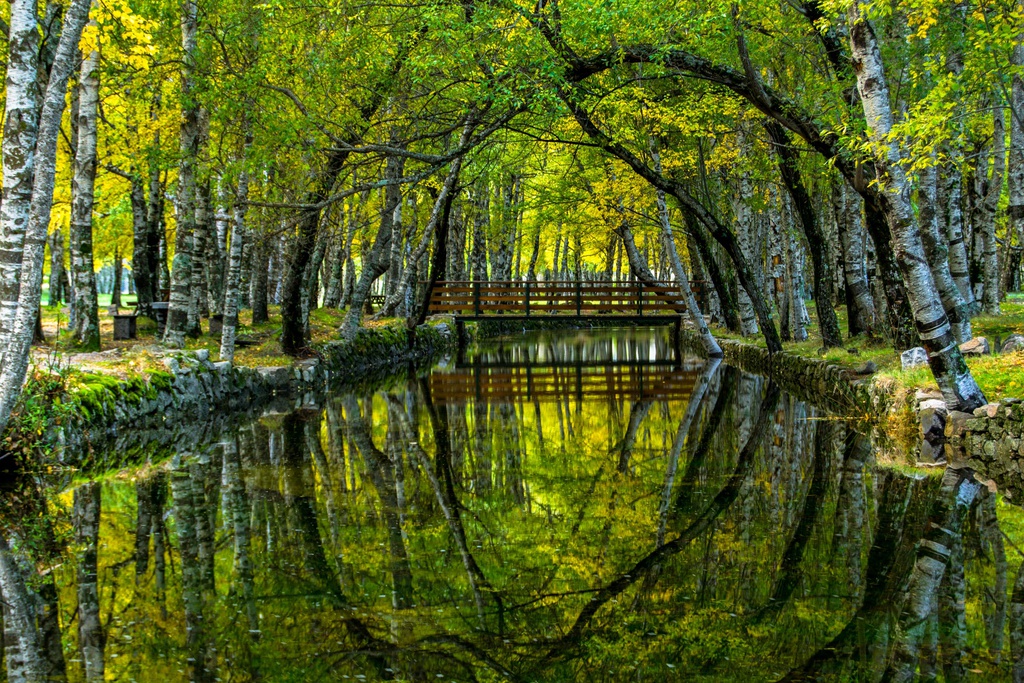 GR33 - Grande Rota do Zêzere - Pedestrian [TOTAL]