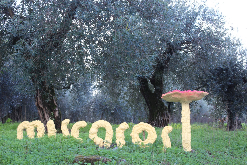 Míscaros - Mushroom Festival