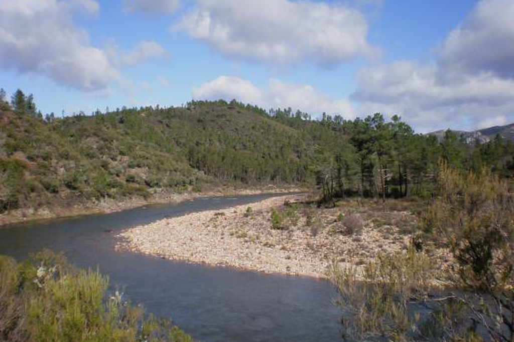 Rios de problemas: poluição e invasões biológicas na ribeira da Sarzedinha