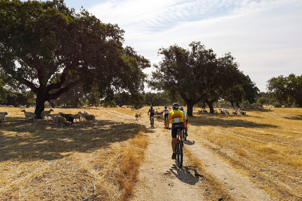 Centro Cyclin'Portugal da Serra da Gardunha (P2 - Azul)