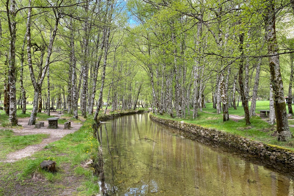 GRZ on Foot - The Wild Start [Sector 1]