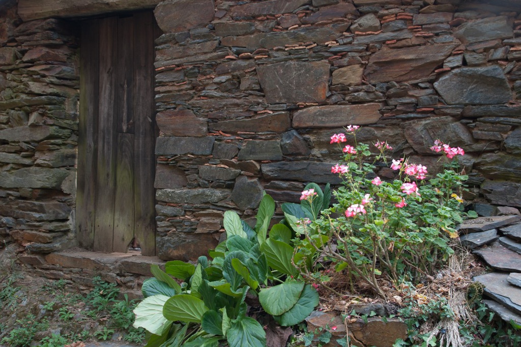 Oficina de Construção Natural – Casa de Banho com Vermicompostagem