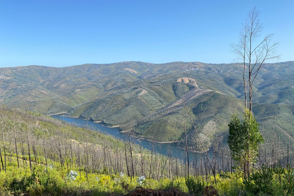 Sob o Signo do Cabril: Abitureira > Área de Descanso de Felgueiras [GR33 - GRZ: Etapa 2]