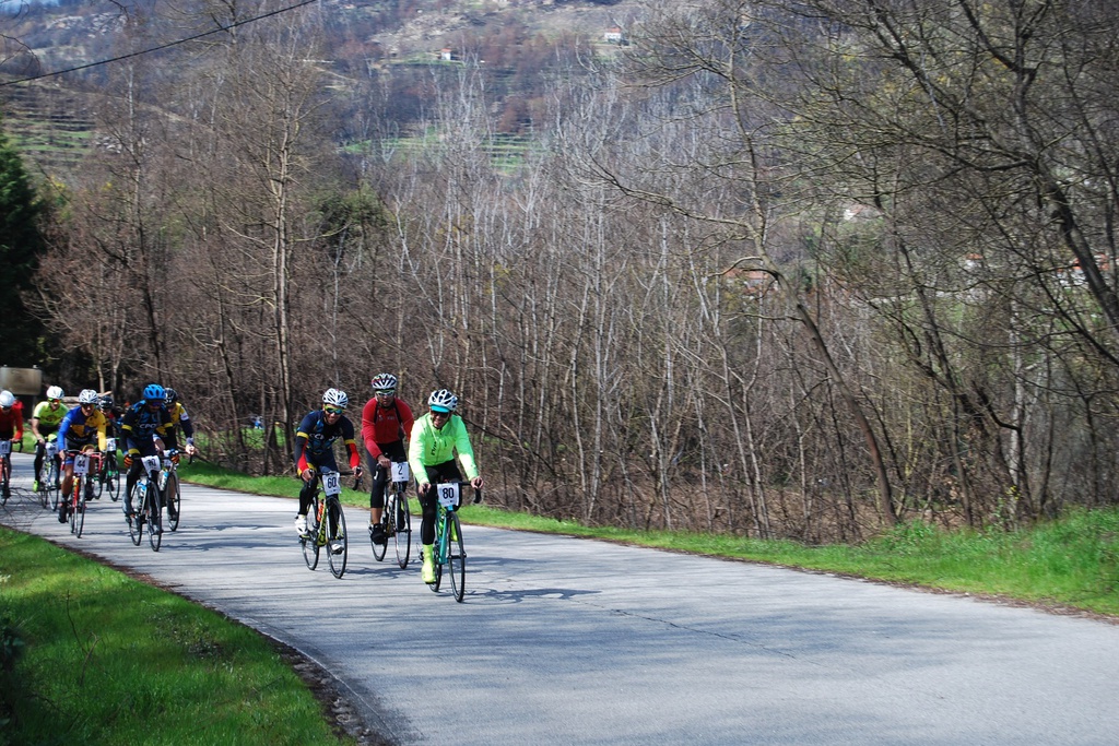 Spring Walk: Ponte das Três Entradas - Aldeia das Dez