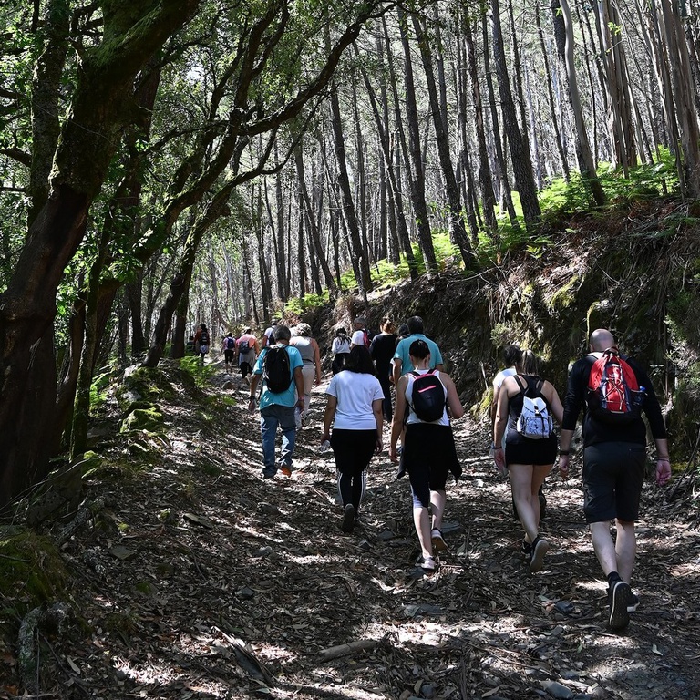 Doze Meses, Doze Caminhadas: Olhar a Brama