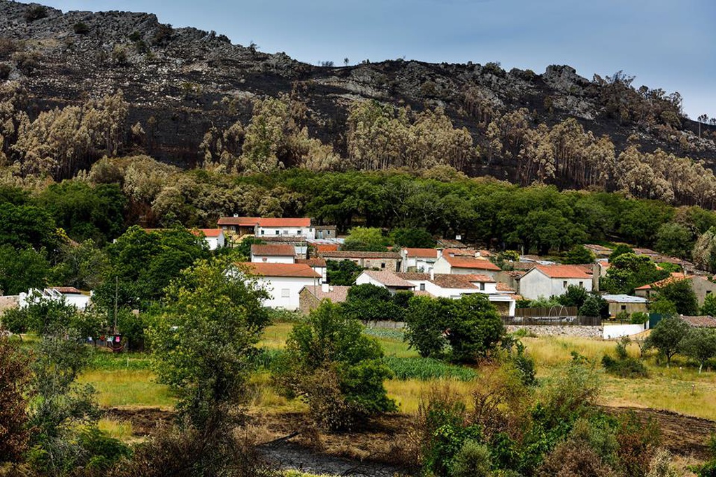 Annual picnic for adopters of the Ferraria de São João Cork Oak