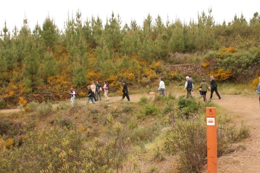 PR 8 PNV - Figueira Schist trail - Following the Schist walls