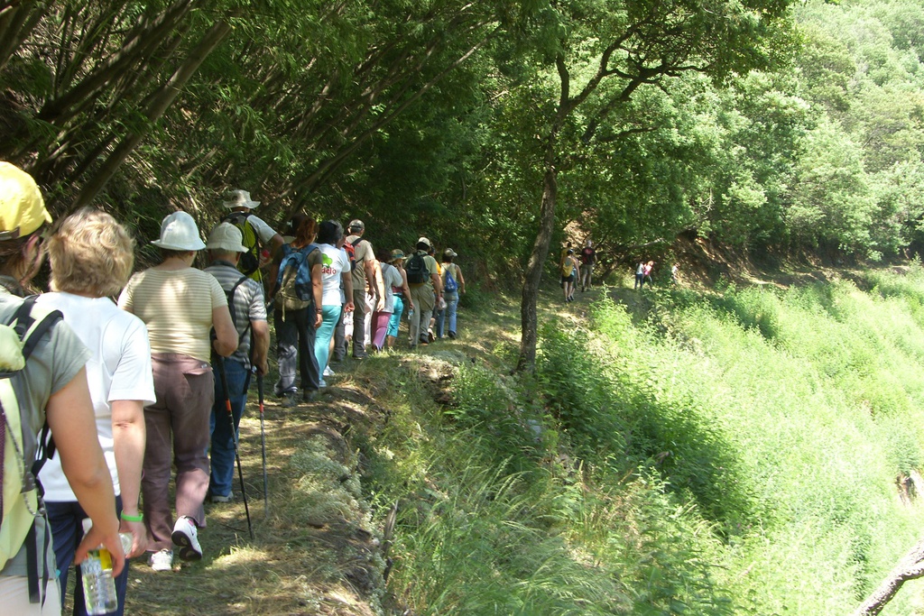 PR 2 LSA - Lousã Schist Trails 2 - Schist Villages Route