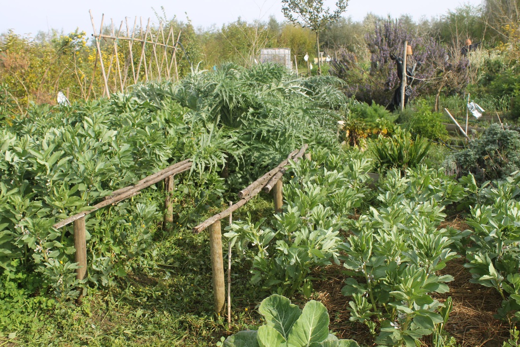 Dia de Agricultura Biológica em Janeiro de Cima