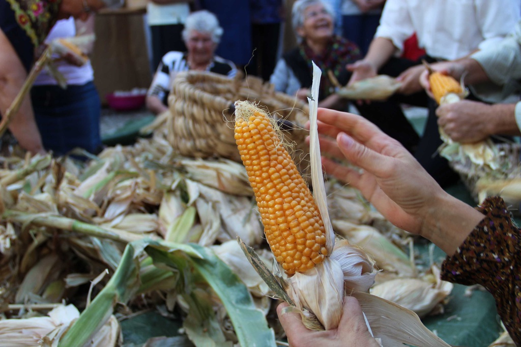 Feira de Outono 