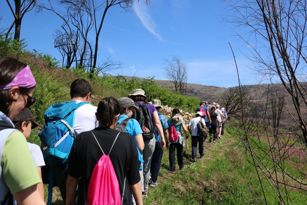 Walking Weekend'20 - Festival de Caminhadas