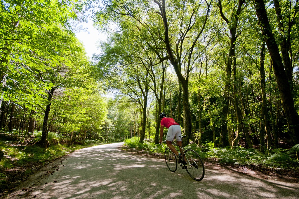 Inauguration of the Lousã/Castanheira de Pera -Trevim Epic Climbs