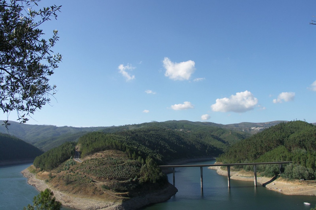 IV Convívio de Pesca Embarcada 