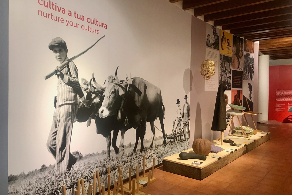 Agricultura Lusitana exhibition at the Louzã Henriques Ethnographic Museum