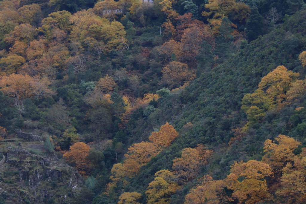 XISTUS: Concurso de fotografia na Serra da Lousã