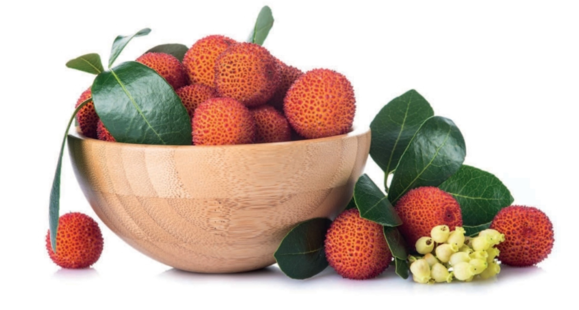 Ateliê do Medronho na Madeirã