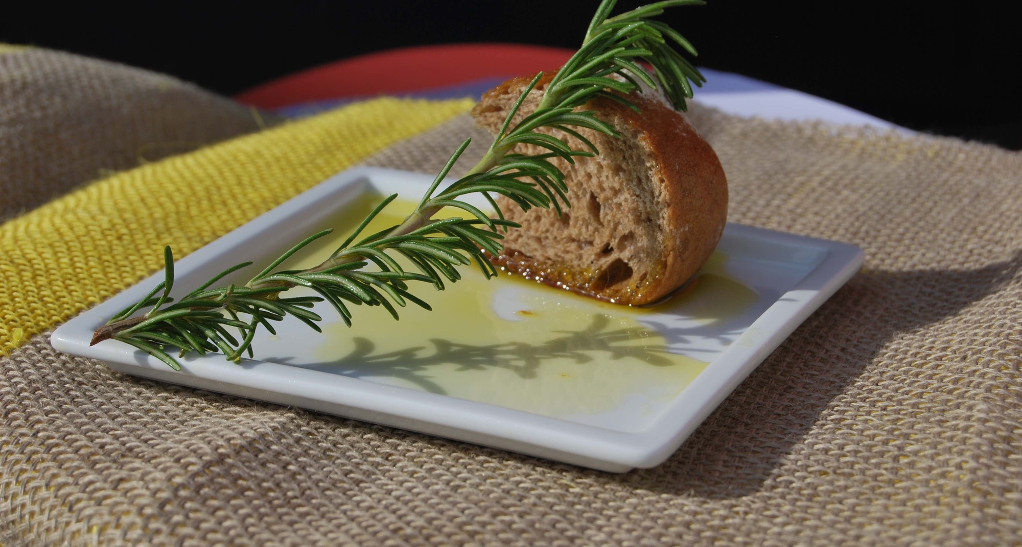 Festival da Tibórnia