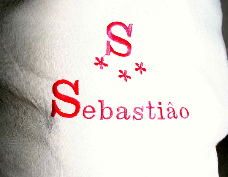 Legend of St Sebastian and the Bodo Festival