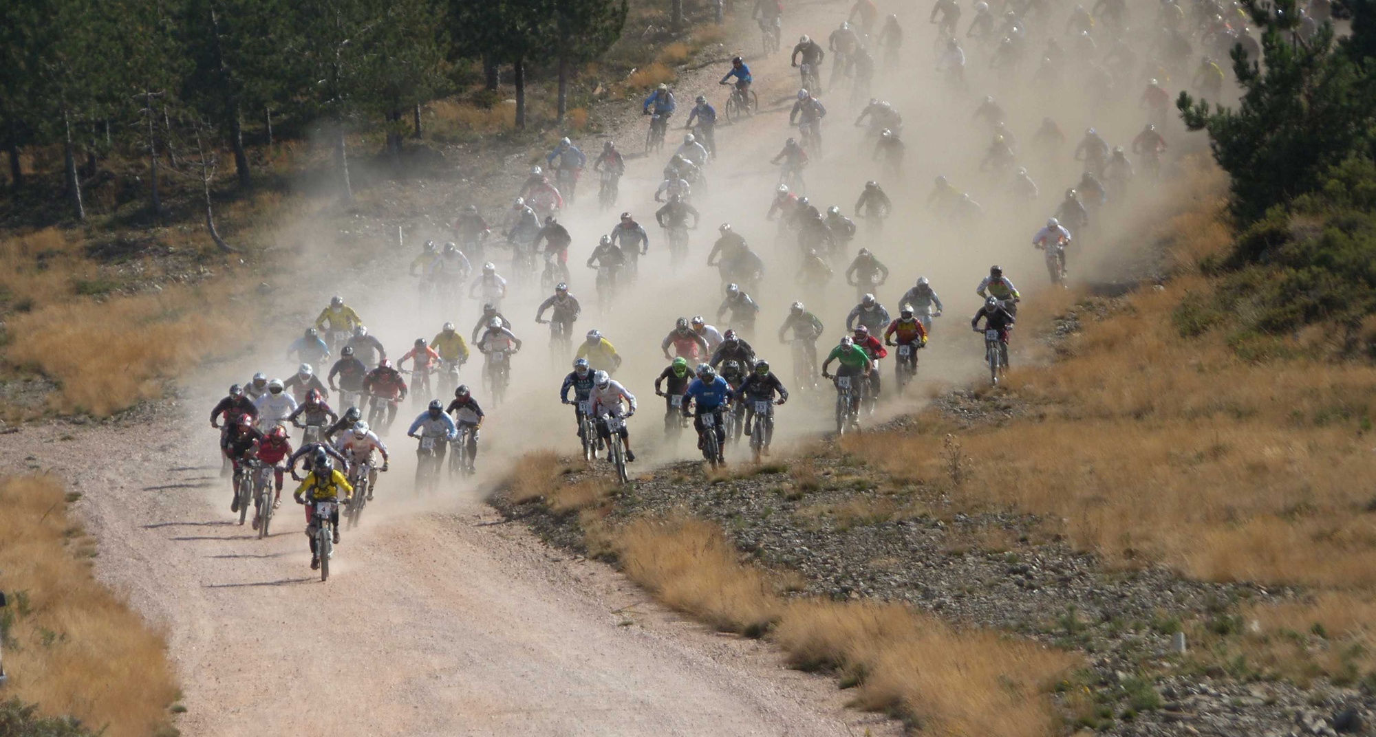 Avalanche Licor Beirão 2017