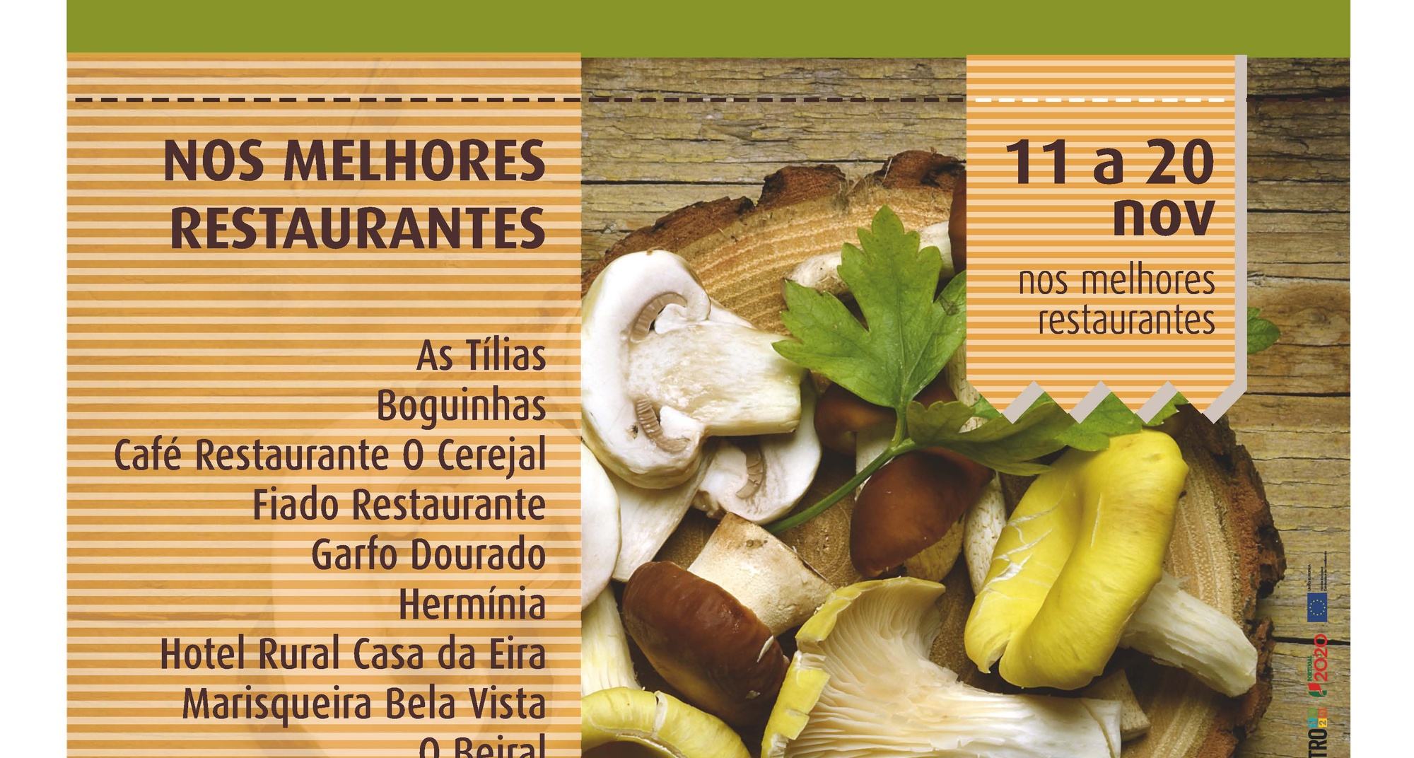 Festival Gastronómico - Fundão Aqui come-se Bem "Sabores do Cogumelos"