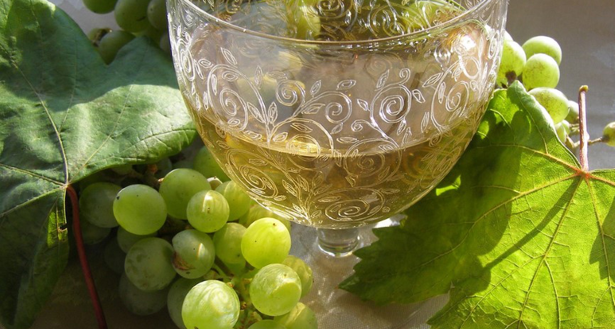 Ateliê do Vinho Callum e do Mel 