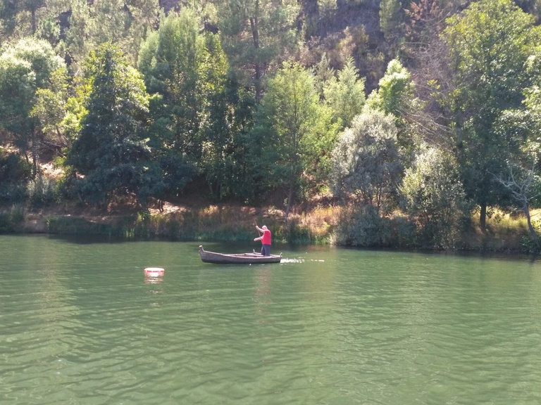 Traditional boat race brings families and friends together again in the Zêzere