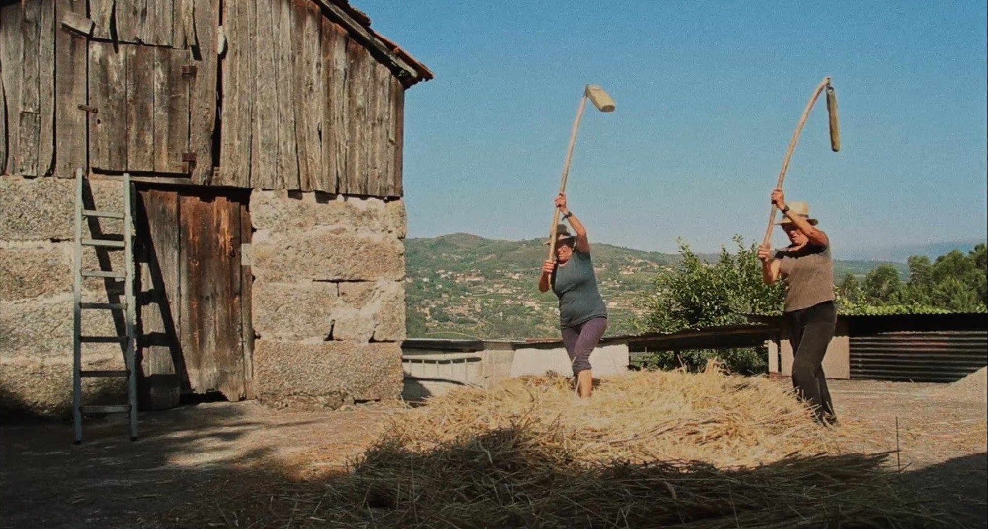 Olhares da Terra - Entre Leiras