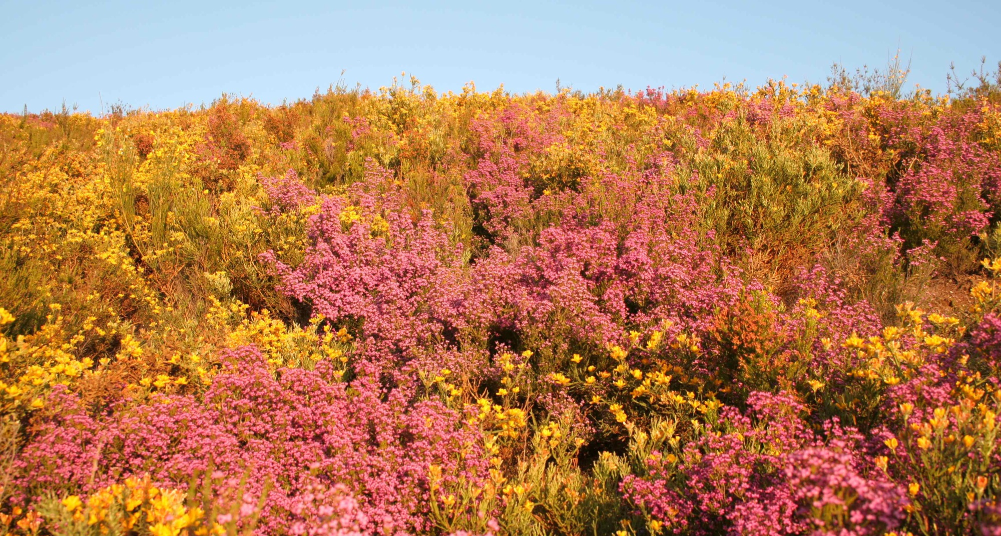 Nem só de Páscoa vive o mês abril
