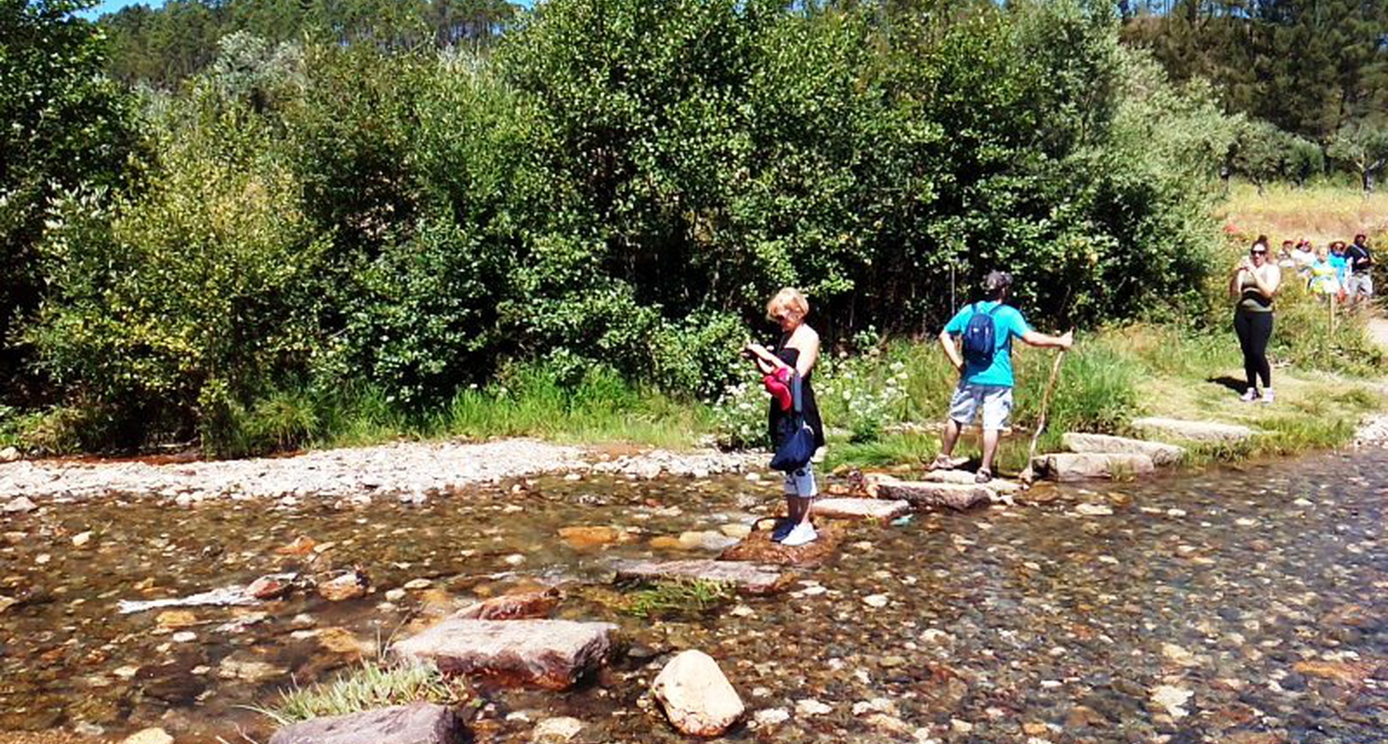 Fado and a Walking Tour in Martim Branco