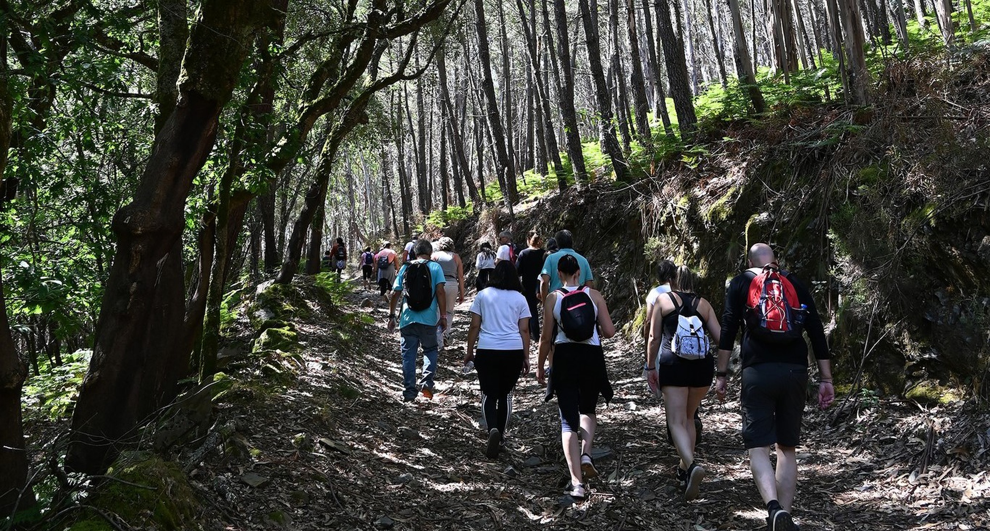 Doze Meses, Doze Caminhadas: Olhar a Brama