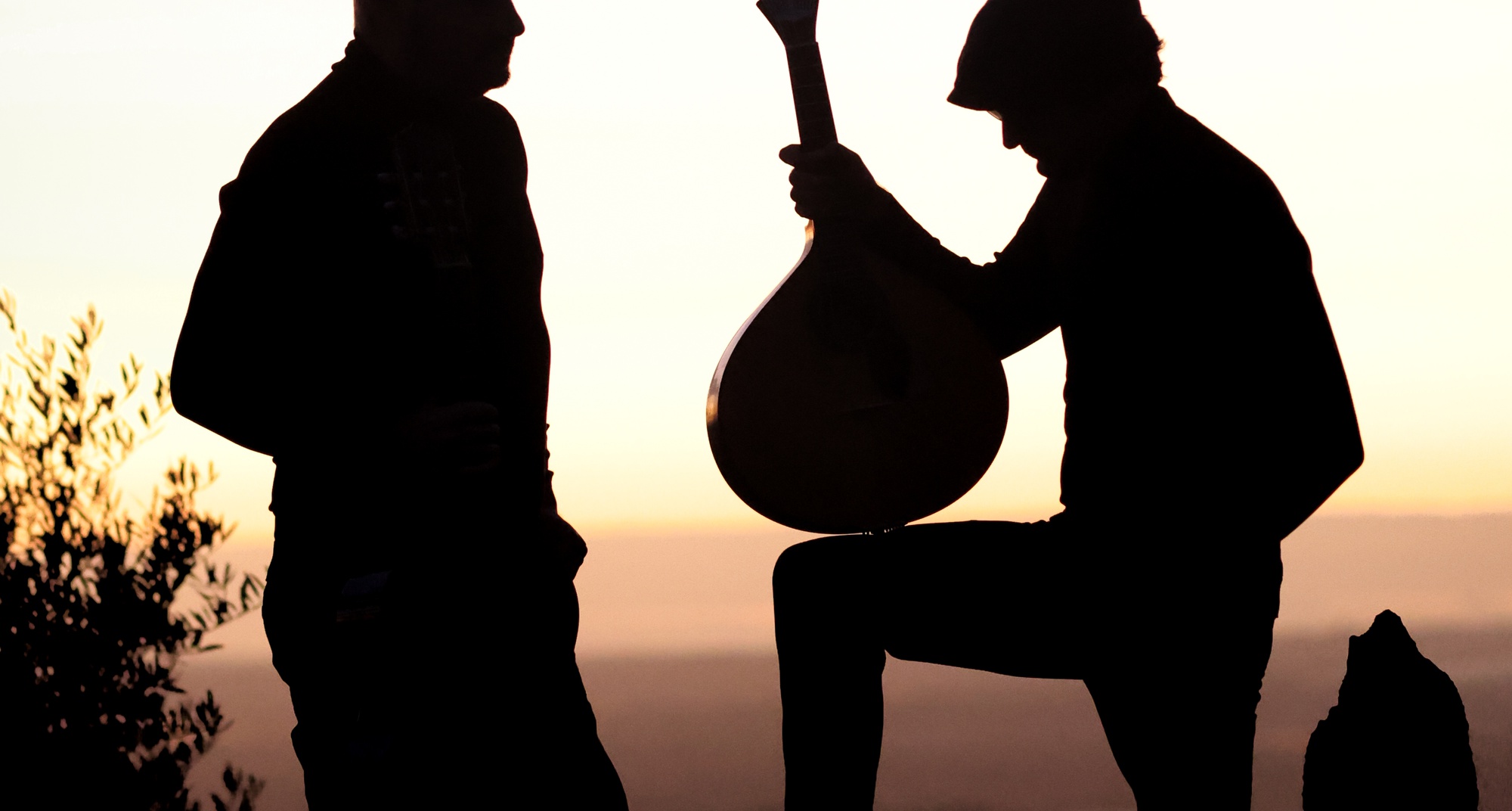 Paredes Experience in Figueiró dos Vinhos