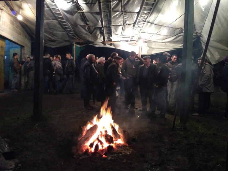 Couve, bacalhau, azeite e vinho novos fazem a festa na Malhada Velha