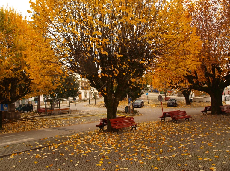 Câmara Municipal de Castanheira de Pera