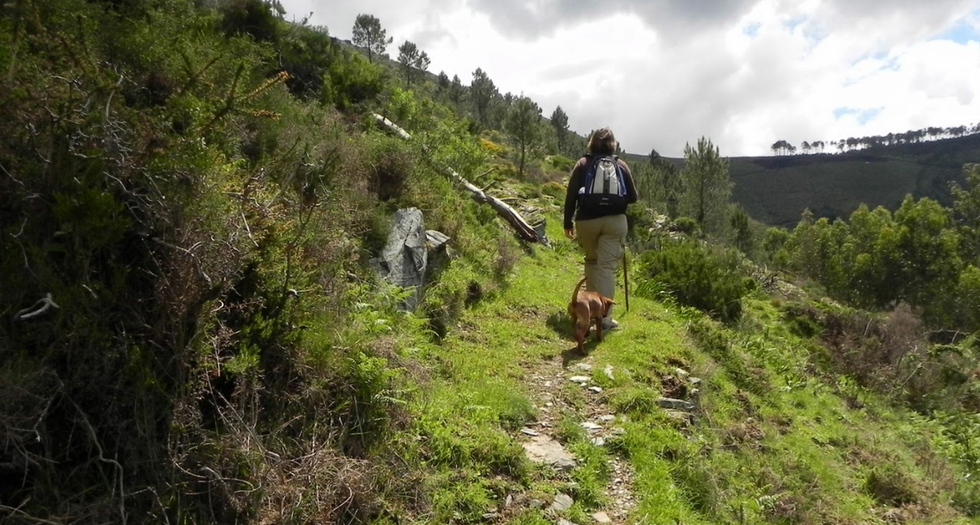 Plogging Challenge Portugal 2026 –  Aigra Nova