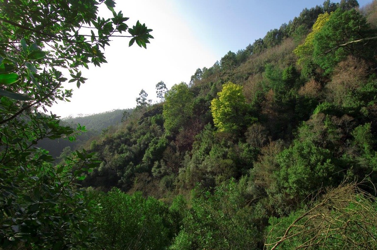 Serra do Espinhal