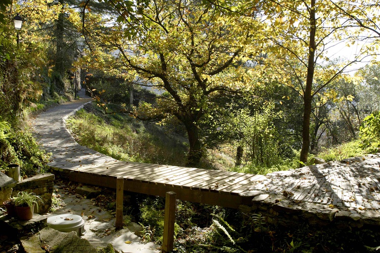 Impacto dos incêndios de junho 2017 nas Aldeias Xisto