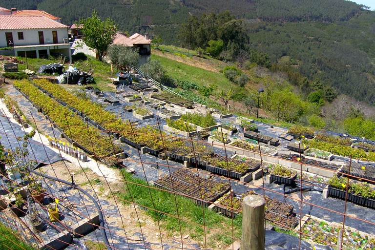 Lousitânea - Liga de Amigos da Serra da Lousã