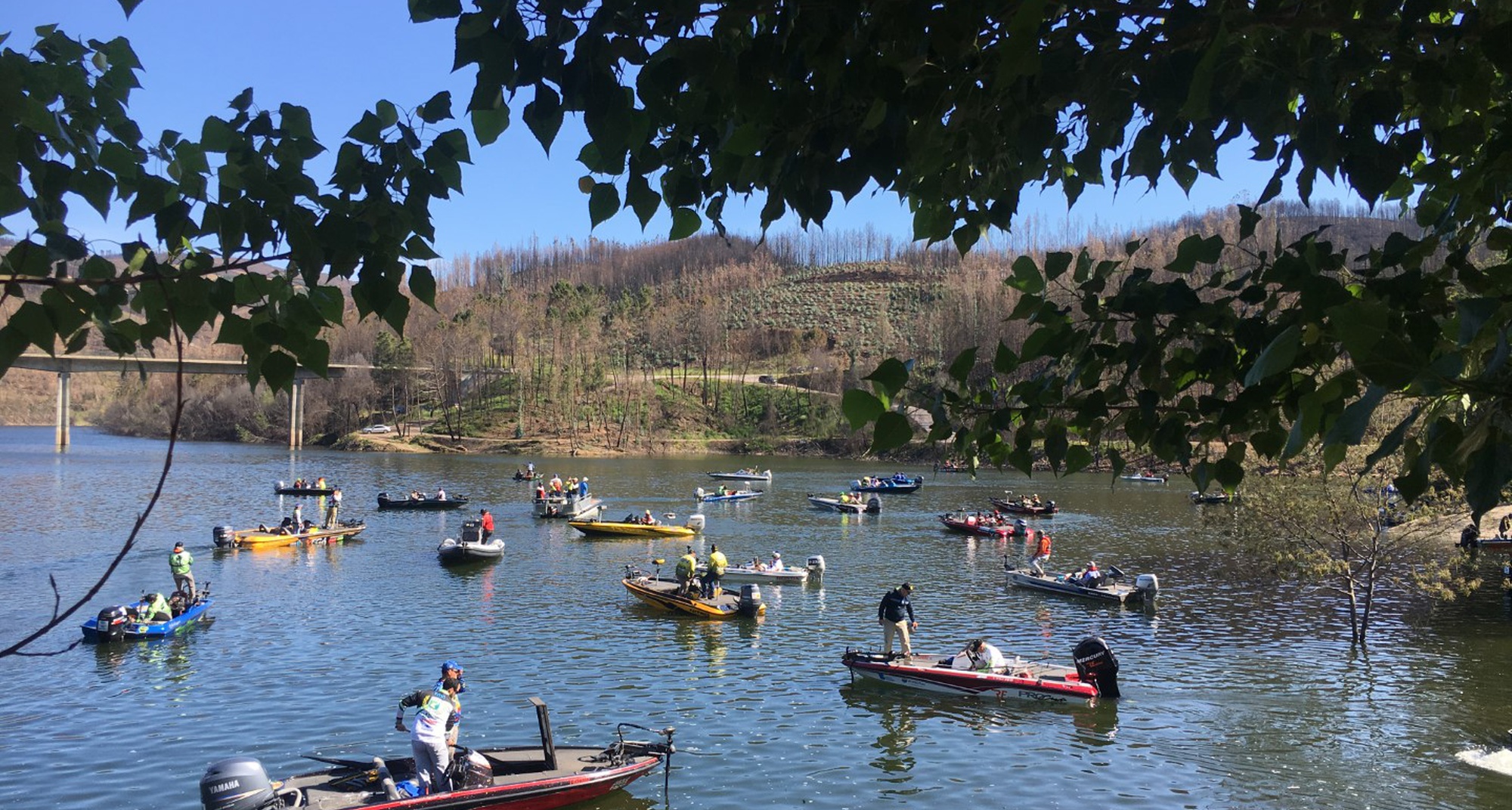 10.º Convívio de Pesca Embarcada ao Achigã