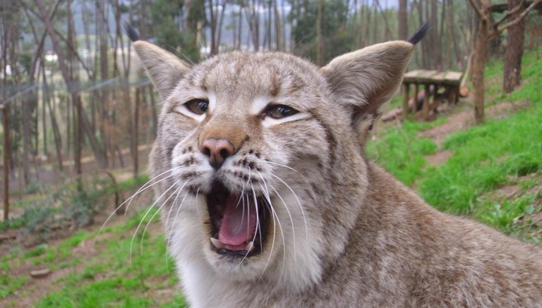 Serra da Lousã Biological Park