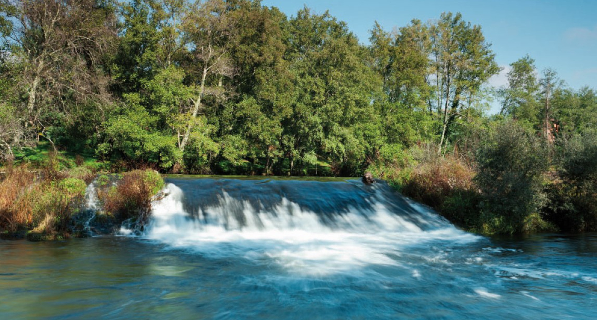 Projeto Frisk no Café da Ciência
